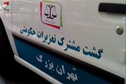 70 درصد از شکایات مردمی بررسی شده است