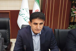 تردد خودروها درون استان باید ممنوع شود