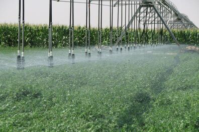 آغاز به کار تلفن گویای 1559 جهاد کشاورزی استان باارائه چندین خدمت