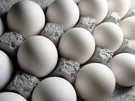 تخم مرغ و لبنیات در صدر گرانی ها