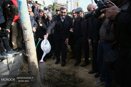 ساماندهی و احیا درختان خیابان ولیعصر (عج)