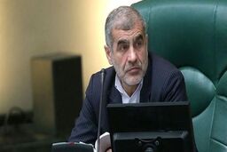 واکنش نیکزاد به اظهارات اخیر رئیس اتاق بازرگانی/آقای شافعی در قد و قواره ای نیست که بگوید از مجلس پشتیبانی می کند
