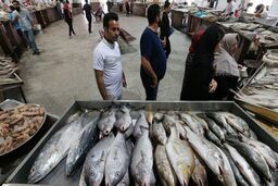 اجازه صید به هیچ کشوری در آب‌های ایران را نمی‌دهیم