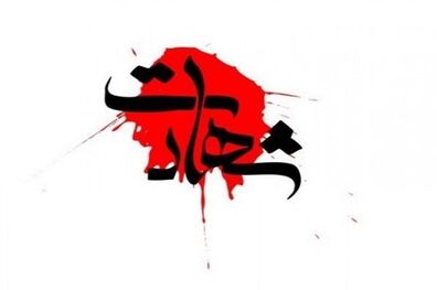 سرباز وظیفه ناجا  در درگیری با اشرار مسلح در بوشهر به شهادت رسید