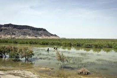 احیای تالاب هامون؛ موضوع کارگروه شهرستانی حوزه سیستان