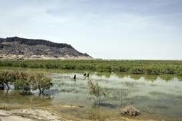 احیای تالاب هامون؛ موضوع کارگروه شهرستانی حوزه سیستان