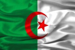 انهدام یک گروهک وابسته به داعش در الجزایر