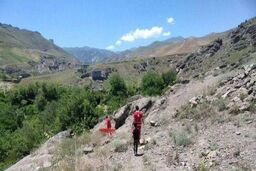 مرگ هولناک سه عضو یک خانواده خبرساز شد
