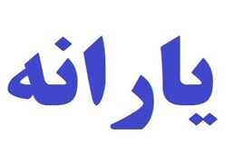 دولت مبنایی برای افزایش یارانه نقدی ندارد