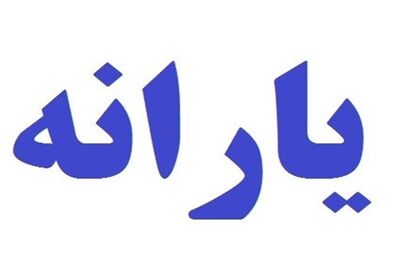  موضوع هدفمندی یارانه‌ها در کمیسیون تلفیق بررسی می شود