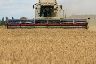 غلات صادراتی اوکراین به آفریقا سر از اروپا درآورد