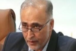توان دولت برای ایجاد زیرساخت‌های مناسب توسعه، اندک است