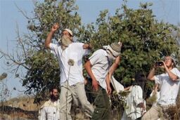 دهها شهرک نشین صهیونیست بار دیگر به مسجد الاقصی یورش بردند