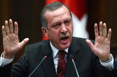 اردوغان ترکتازی می کند 