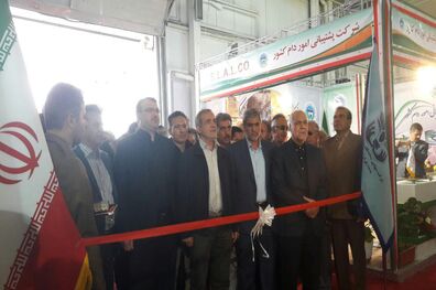 تولید داخلی در چند سال اخیر جان دوباره گرفت