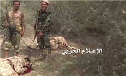 کشته شدن هفت شبه‌نظامی وابسته به عربستان در «تعز» یمن
