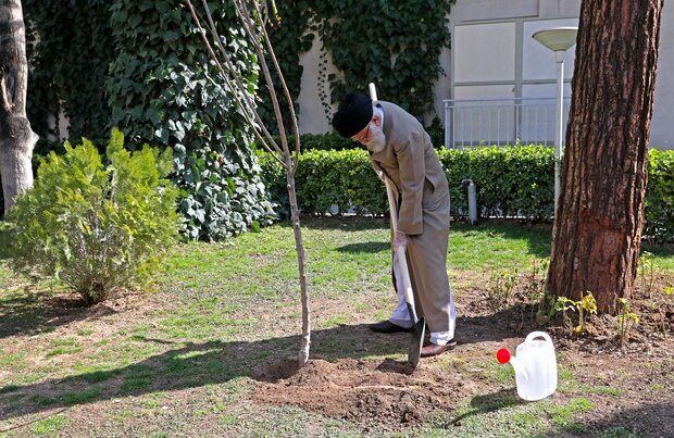 رهبر انقلاب به‌ مناسبت روز درختکاری دو نهال کاشتند