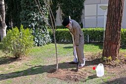رهبر انقلاب به‌ مناسبت روز درختکاری دو نهال کاشتند