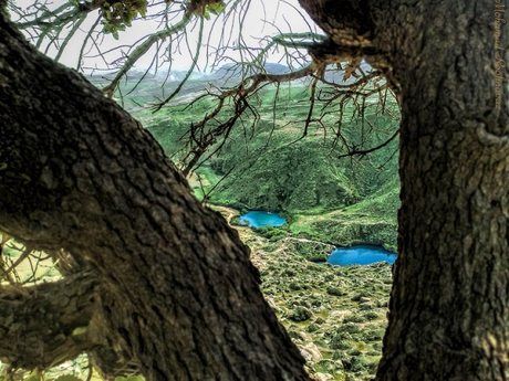 ایلام؛ از آلامتو تا جبال