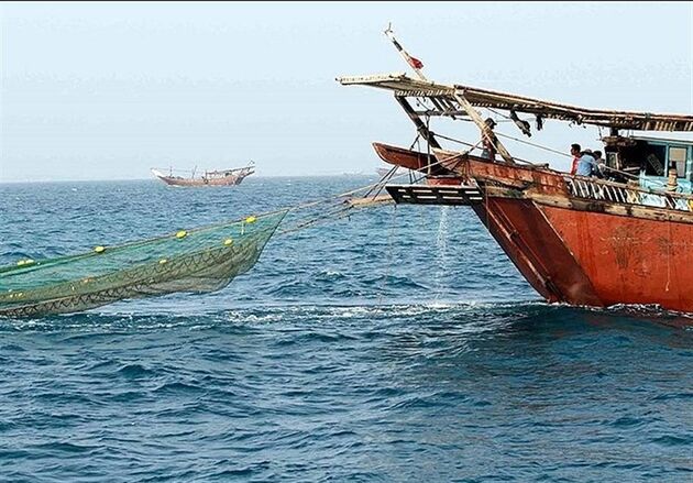 کشتی های صیادی در سواحل جنوب کشور دارای مجوز صید از شیلات هستند