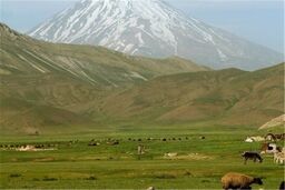 10 هزار خانوار بهره‌بردار کرمانشاهی عضو صندوق توسعه منابع طبیعی شدند