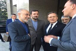 صالحی با رئیس انرژی اتمی روسیه دیدار و گفتگو کرد
