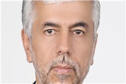 احزاب دولت ساخته و دوره‌ای بلای جان تقویت تحزب در ایران/ مردم در ایران به احزاب اعتماد ندارند