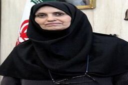 سازمان استاندارد اختیار توقف تولید هر کالای غیراستانداردی را دارد/ توقف خط تولید خودروهای غیراستاندارد در پایان سال 97