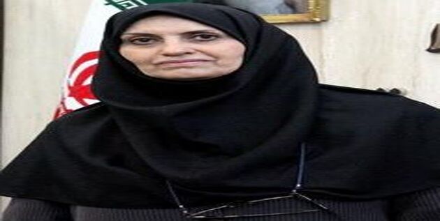 سازمان استاندارد اختیار توقف تولید هر کالای غیراستانداردی را دارد/ توقف خط تولید خودروهای غیراستاندارد در پایان سال 97