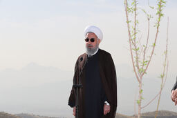  تعداد درختان جنگلی اطراف تهران نسبت به اول انقلاب ۱۶ برابر شده است