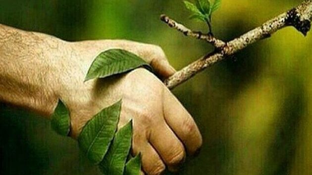 توصیه های مهم برای روز طبیعت