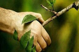توصیه های مهم برای روز طبیعت