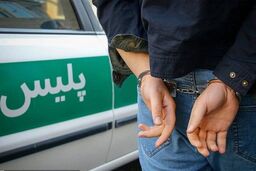 مجری قلابی صدا و سیما دستگیر شد