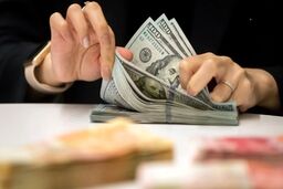 چرا سیاست کنترل نرخ ارز به مهار تورم ختم نشد؟