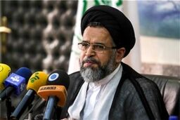 وزیر اطلاعات: داشتن «گرین کارت» تابعیت محسوب نمی‌شود