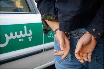 دستگیری سارقان حرفه‌ای اماکن خصوصی