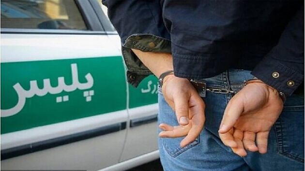 دستگیری سارقان حرفه‌ای اماکن خصوصی