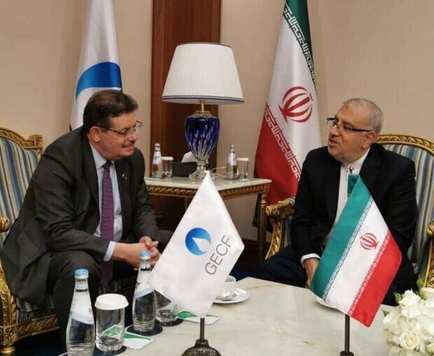 دیدار جواد اوجی وزیر نفت با دبیرکل GECF 