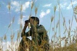 بازداشت عاملان حمله به محیط‌بان ساوه‌ای در دست پیگیری است