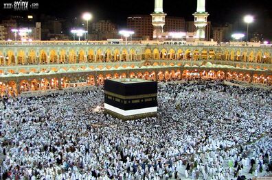 سازمان حج و زیارت برای تکمیل اطلاعات متقاضیان حج ۹۷  فراخوان داد
