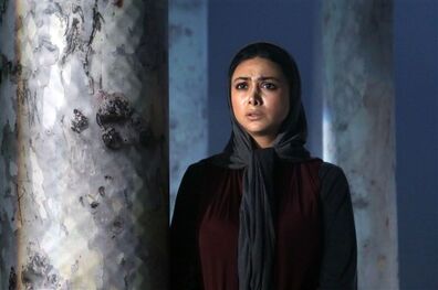 نمایش «پنج ثانیه برف» تمدید شد