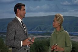 دانلود زیرنویس فیلم The Birds 1963