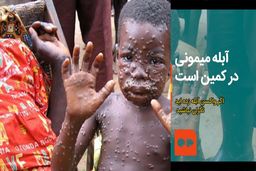 وزارت بهداشت برای جلوگیری از شیوع آبله میمون مبادی وردی کشور را رصد می‌کند