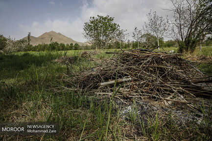 روستای جل اکبر ساوه