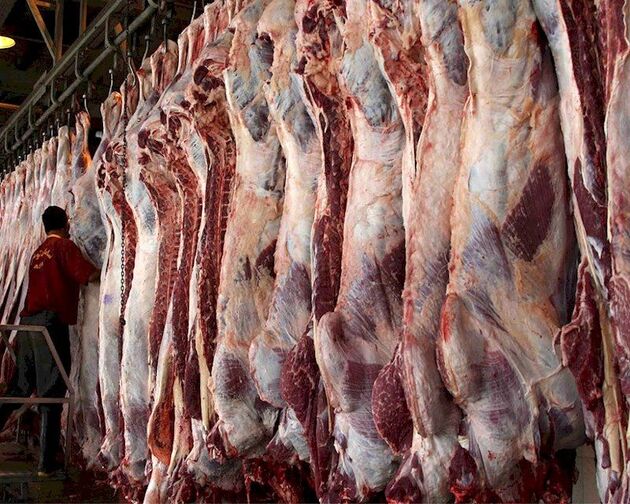 کاهش قیمت گوشت قرمز در میادین میوه و تره بار تهران
