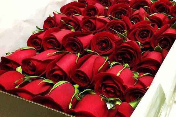تولید گل های زینتی از ظرفیت چهارمحال و بختیاری است