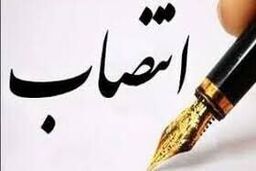 مدیرکل دفتر تبلیغات و اطلاع‌رسانی وزارت فرهنگ و ارشاد منصوب شد