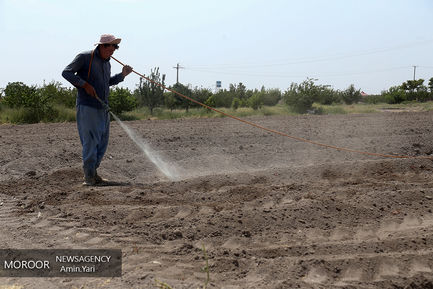 درآمدهای داغ - کشاورزی