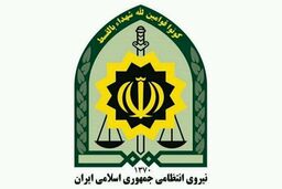کشف یک میلیارد و 500 میلیون ریال گوشی قاچاق /دستگیری سارق حرفه‌ای