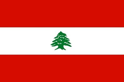 استقبال وزارت خارجه لبنان از توافق قطر و عربستان سعودی